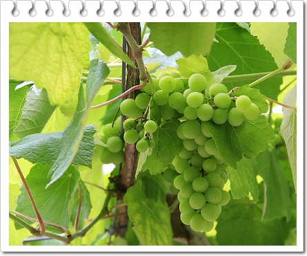 f:id:battan360:20150130224033j:plain