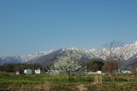 f:id:bean_cyclehorse:20070504072004j:image f:id:bean_cyclehorse:20070504072004j:image