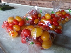 f:id:bean_cyclehorse:20140918230531j:image f:id:bean_cyclehorse:20140918230531j:image