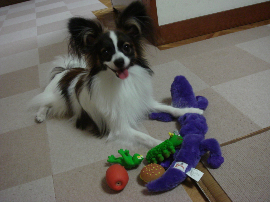 f:id:beaupapillon:20160101222846j:plain f:id:beaupapillon:20160101222846j:plain