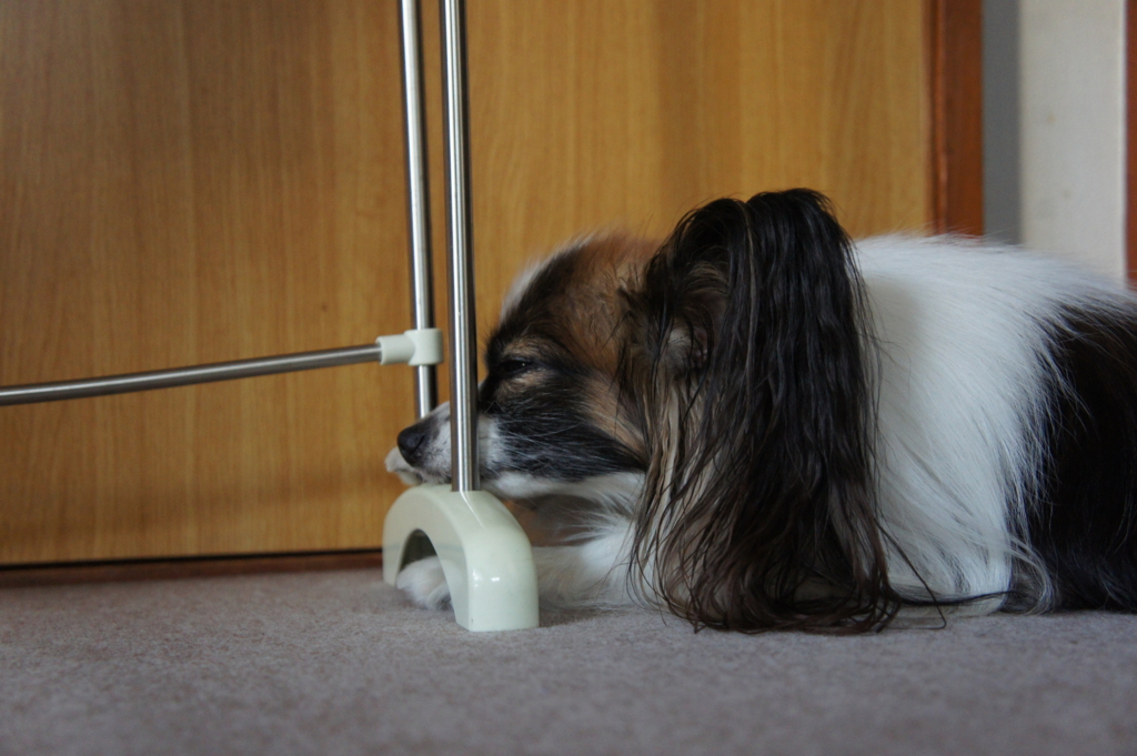 f:id:beaupapillon:20160227194501j:plain f:id:beaupapillon:20160227194501j:plain