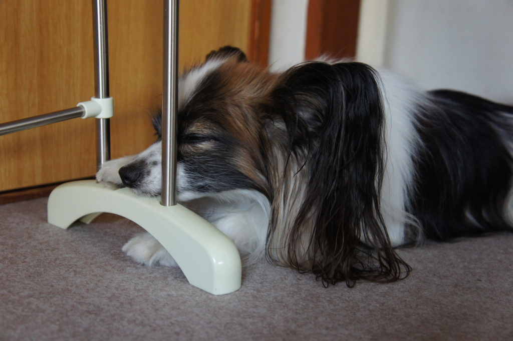 f:id:beaupapillon:20160227194535j:plain f:id:beaupapillon:20160227194535j:plain
