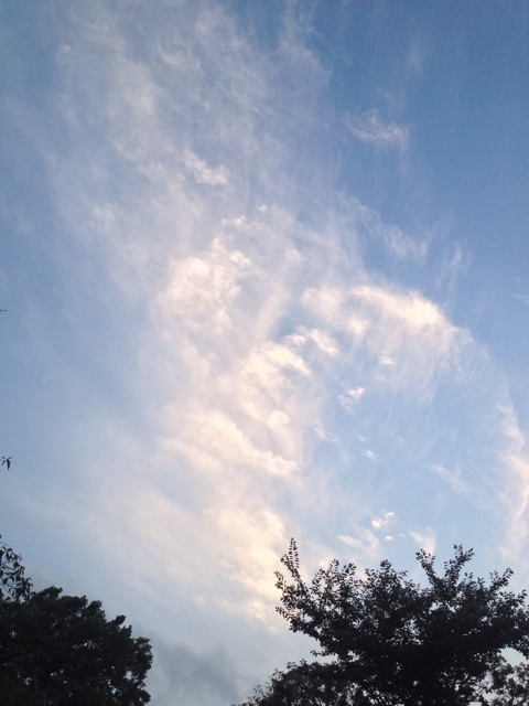 f:id:beauty-sky:20140629003453j:plain f:id:beauty-sky:20140629003453j:plain