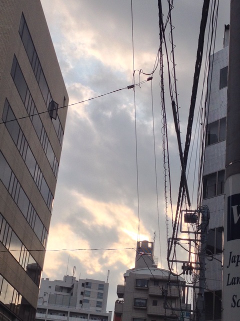 f:id:beauty-sky:20140702200058j:plain f:id:beauty-sky:20140702200058j:plain