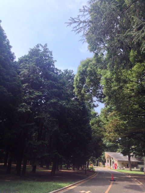 f:id:beauty-sky:20140717183504j:plain f:id:beauty-sky:20140717183504j:plain