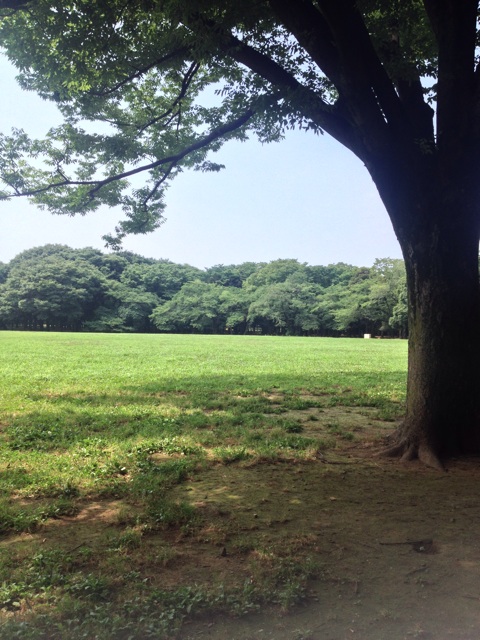 f:id:beauty-sky:20140717183520j:plain f:id:beauty-sky:20140717183520j:plain