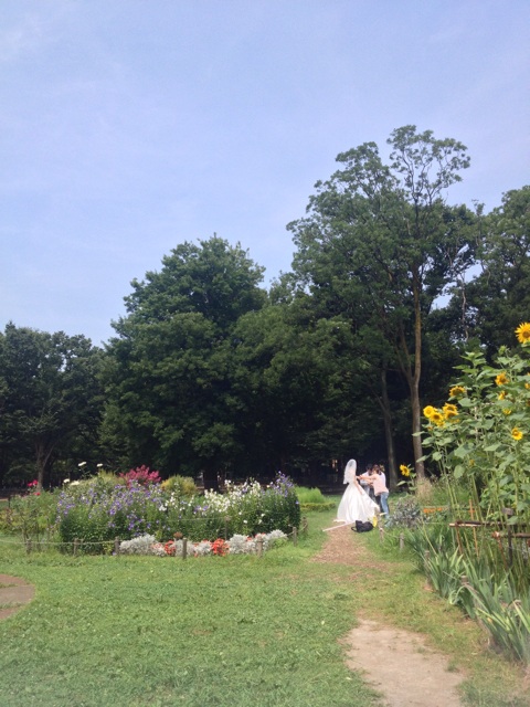 f:id:beauty-sky:20140717183711j:plain f:id:beauty-sky:20140717183711j:plain