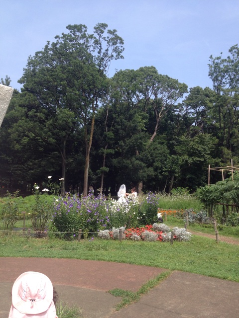 f:id:beauty-sky:20140717183729j:plain f:id:beauty-sky:20140717183729j:plain