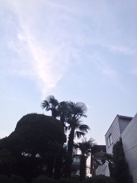 f:id:beauty-sky:20140724232755j:plain f:id:beauty-sky:20140724232755j:plain