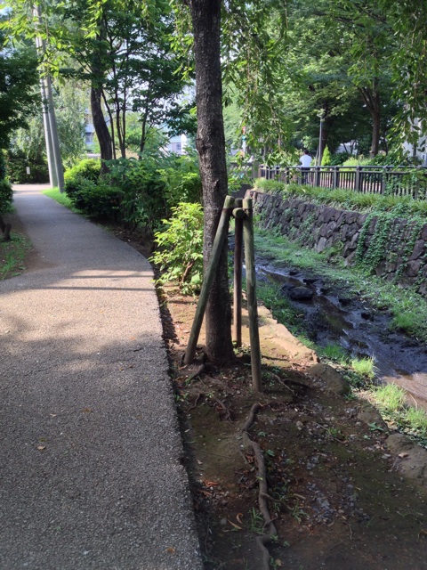 f:id:beauty-sky:20140801092417j:plain f:id:beauty-sky:20140801092417j:plain