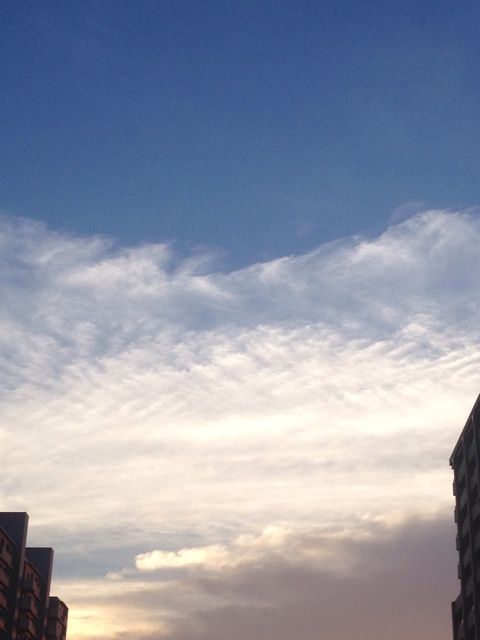 f:id:beauty-sky:20140821002632j:plain f:id:beauty-sky:20140821002632j:plain