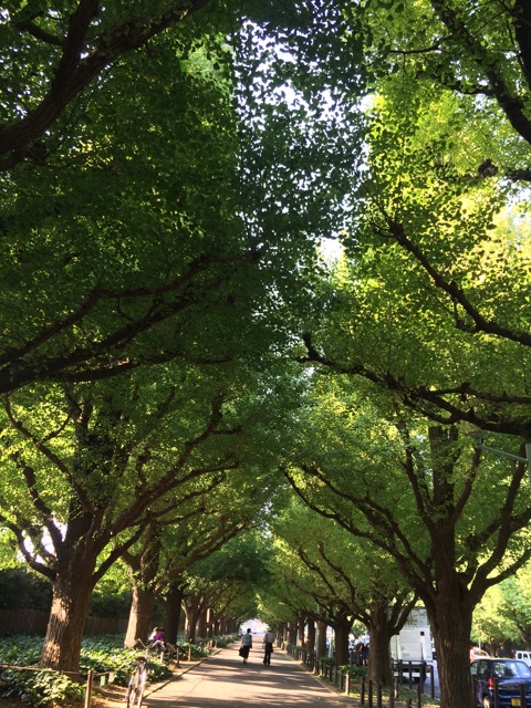 f:id:beauty-sky:20141003032749j:plain f:id:beauty-sky:20141003032749j:plain