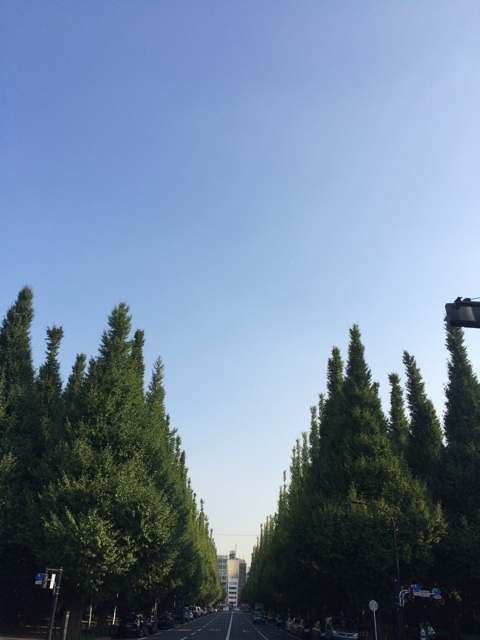 f:id:beauty-sky:20141003032805j:plain f:id:beauty-sky:20141003032805j:plain