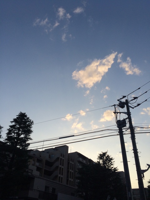 f:id:beauty-sky:20150227203651j:plain f:id:beauty-sky:20150227203651j:plain
