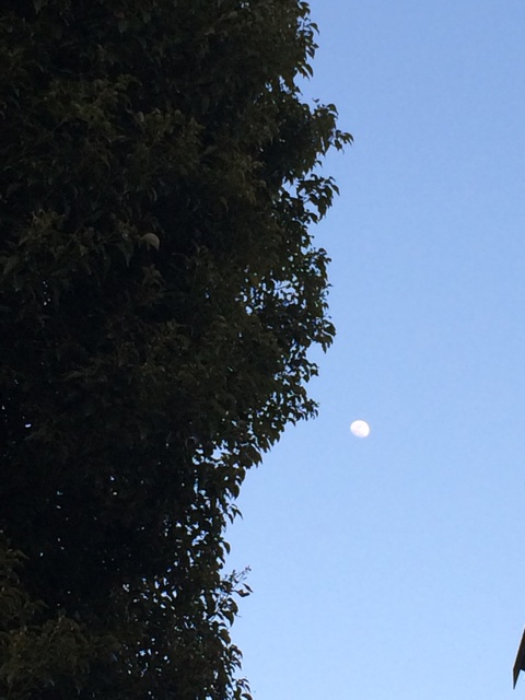 f:id:beauty-sky:20150304192339j:plain f:id:beauty-sky:20150304192339j:plain