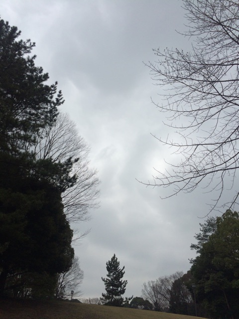 f:id:beauty-sky:20150320211238j:plain f:id:beauty-sky:20150320211238j:plain