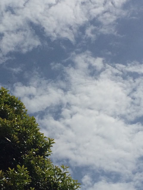 f:id:beauty-sky:20150422114525j:plain f:id:beauty-sky:20150422114525j:plain