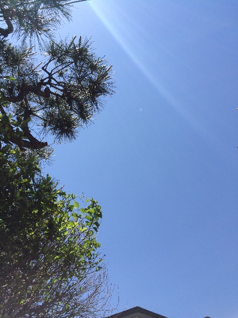 f:id:beauty-sky:20150513191043j:image f:id:beauty-sky:20150513191043j:image