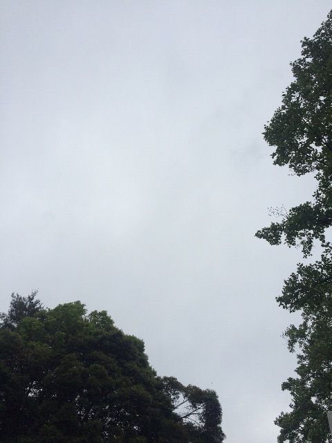 f:id:beauty-sky:20150529163829j:image f:id:beauty-sky:20150529163829j:image