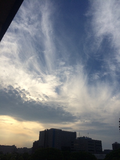 f:id:beauty-sky:20150530180359j:image f:id:beauty-sky:20150530180359j:image