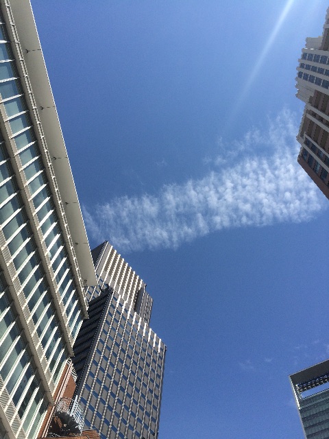 f:id:beauty-sky:20150611121357j:image f:id:beauty-sky:20150611121357j:image