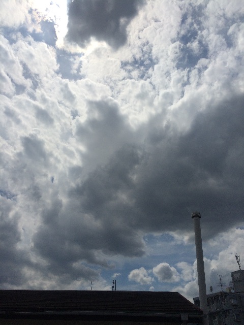 f:id:beauty-sky:20150629134254j:image f:id:beauty-sky:20150629134254j:image