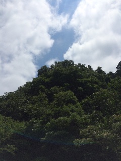 f:id:beauty-sky:20150710235823j:image f:id:beauty-sky:20150710235823j:image
