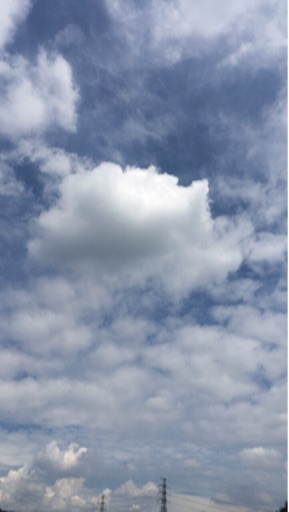 f:id:beauty-sky:20150724182832j:image f:id:beauty-sky:20150724182832j:image
