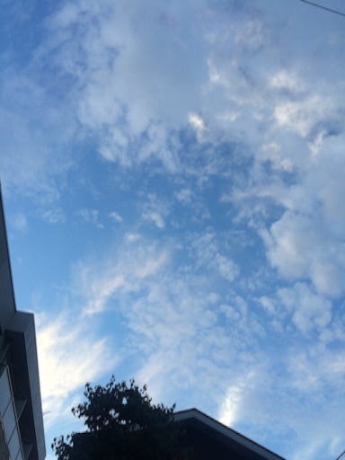 f:id:beauty-sky:20150727112234j:image f:id:beauty-sky:20150727112234j:image