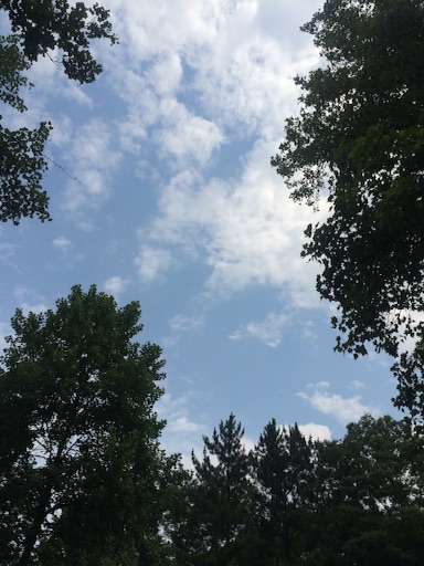 f:id:beauty-sky:20150728141743j:image f:id:beauty-sky:20150728141743j:image