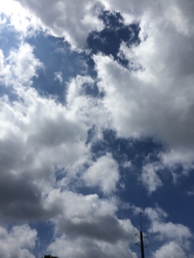 f:id:beauty-sky:20150826114442j:image f:id:beauty-sky:20150826114442j:image