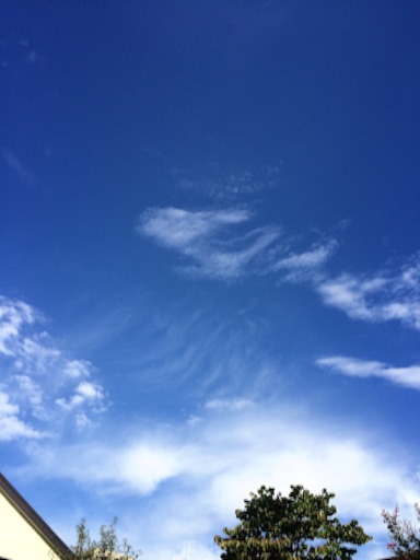 f:id:beauty-sky:20150920225714j:image f:id:beauty-sky:20150920225714j:image