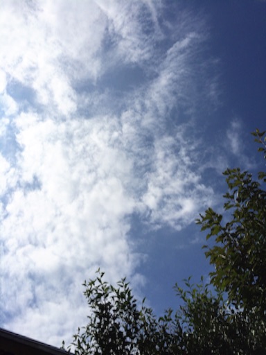 f:id:beauty-sky:20150929223807j:image f:id:beauty-sky:20150929223807j:image