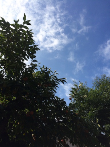 f:id:beauty-sky:20151005024004j:image f:id:beauty-sky:20151005024004j:image