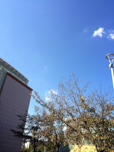 f:id:beauty-sky:20151022154719j:image f:id:beauty-sky:20151022154719j:image