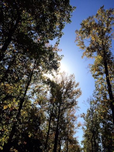 f:id:beauty-sky:20151108013617j:image f:id:beauty-sky:20151108013617j:image