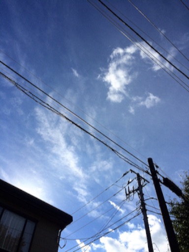 f:id:beauty-sky:20151119125851j:image f:id:beauty-sky:20151119125851j:image