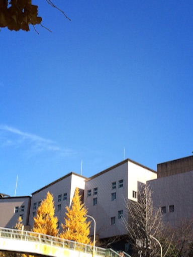 f:id:beauty-sky:20151209144005j:image f:id:beauty-sky:20151209144005j:image