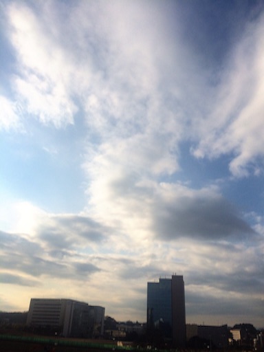 f:id:beauty-sky:20160112002728j:image f:id:beauty-sky:20160112002728j:image