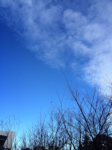 f:id:beauty-sky:20160120030117j:image f:id:beauty-sky:20160120030117j:image