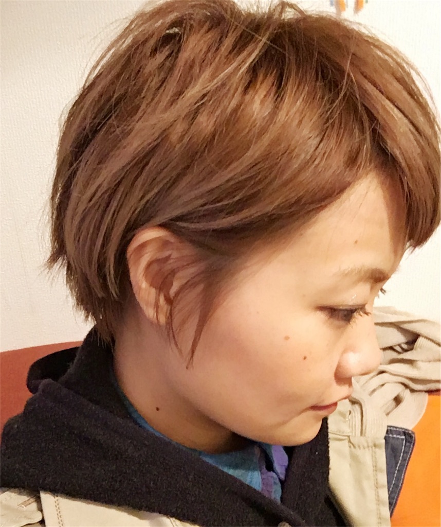 f:id:beautymaniafutako:20151221140049j:image f:id:beautymaniafutako:20151221140049j:image