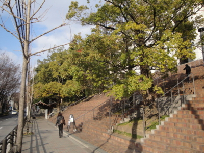 f:id:beaux25:20120114145035j:image f:id:beaux25:20120114145035j:image