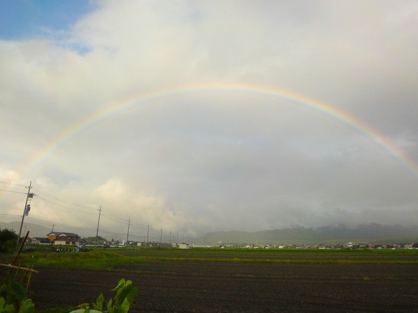 f:id:behoma21:20100729180458j:image f:id:behoma21:20100729180458j:image