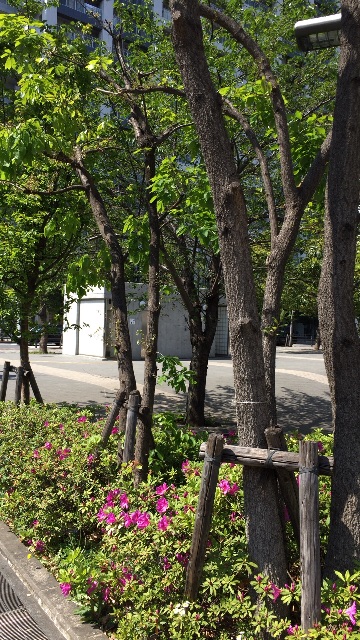 f:id:bejiro:20150427011859j:image f:id:bejiro:20150427011859j:image