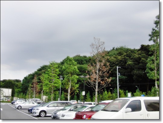 f:id:bekunai:20110922142247j:image f:id:bekunai:20110922142247j:image