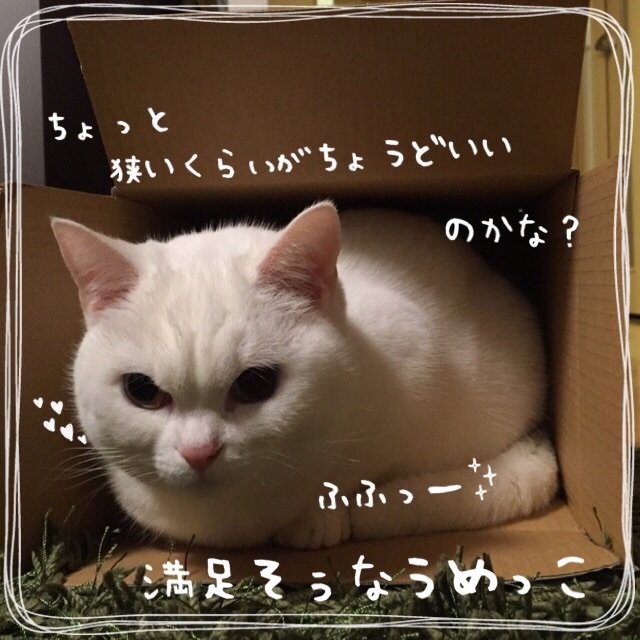 f:id:belly0628:20150430230550j:image f:id:belly0628:20150430230550j:image