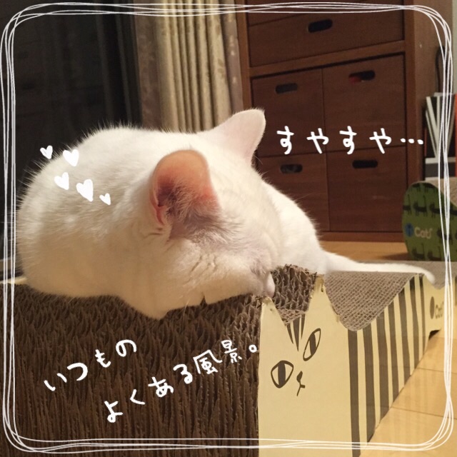 f:id:belly0628:20150501222210j:image f:id:belly0628:20150501222210j:image