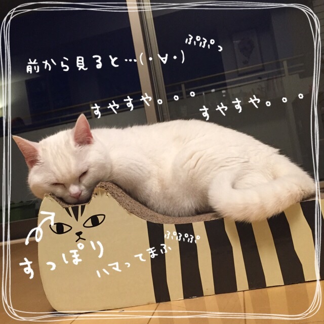 f:id:belly0628:20150501222222j:image f:id:belly0628:20150501222222j:image