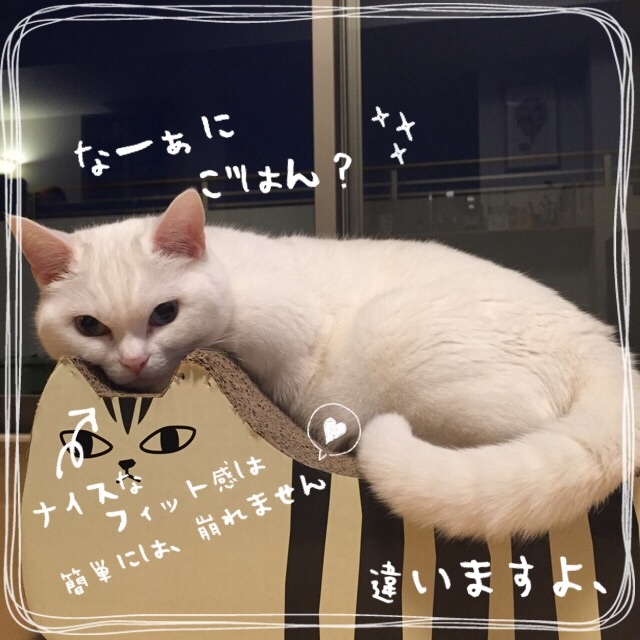 f:id:belly0628:20150501222250j:image f:id:belly0628:20150501222250j:image
