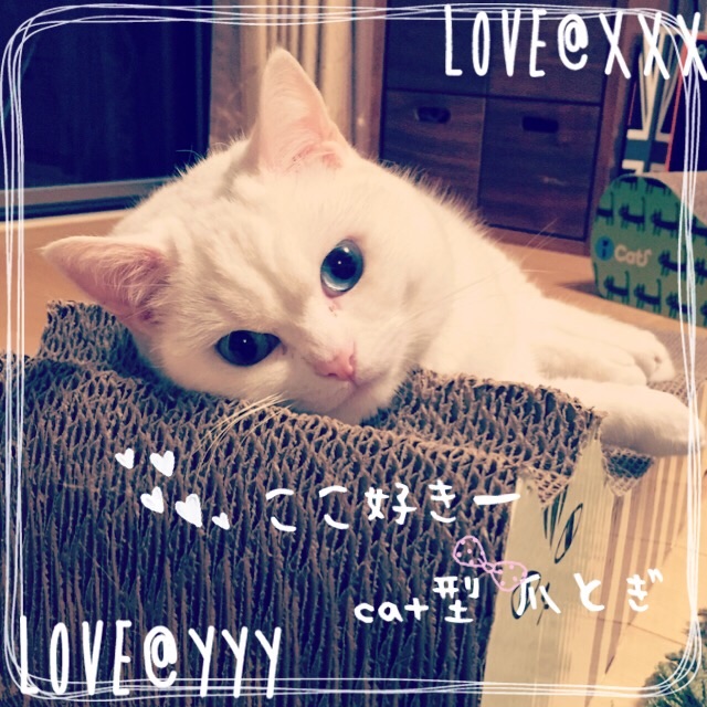 f:id:belly0628:20150501223328j:image f:id:belly0628:20150501223328j:image